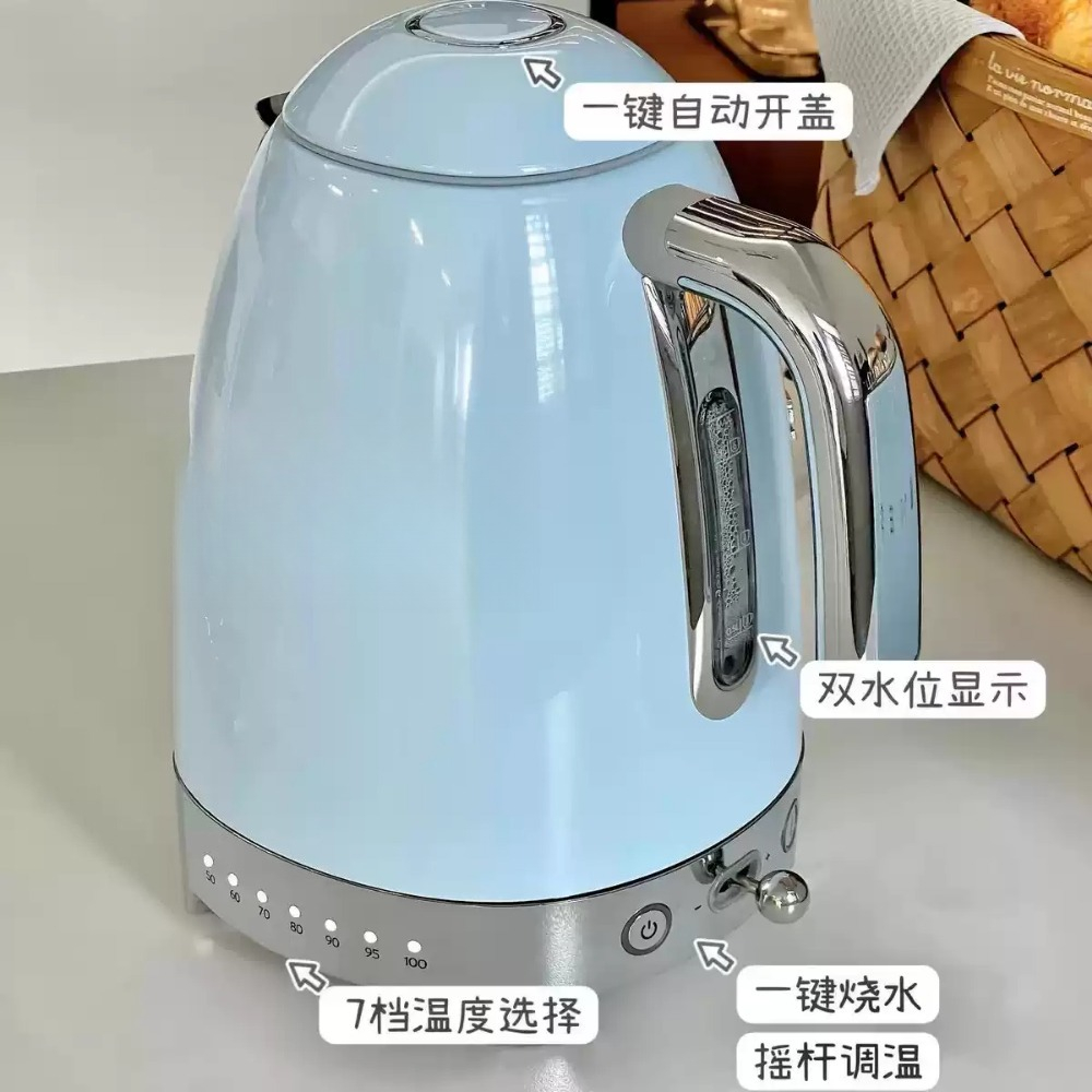 Retro Temperature Control Elec - đánh giá và giá Electric Kettle Temperature Control
